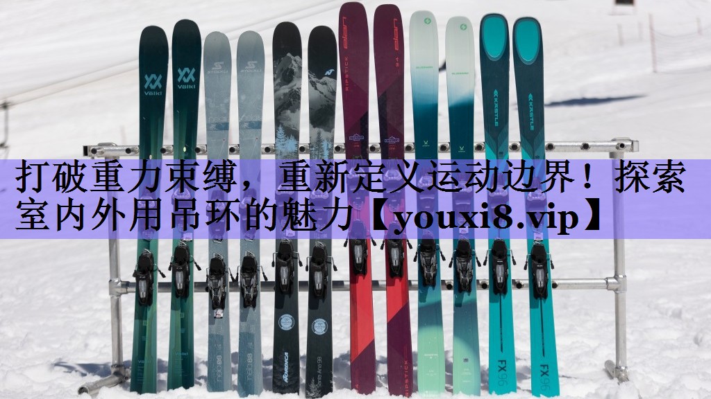 打破重力束缚，重新定义运动边界！探索室内外用吊环的魅力
