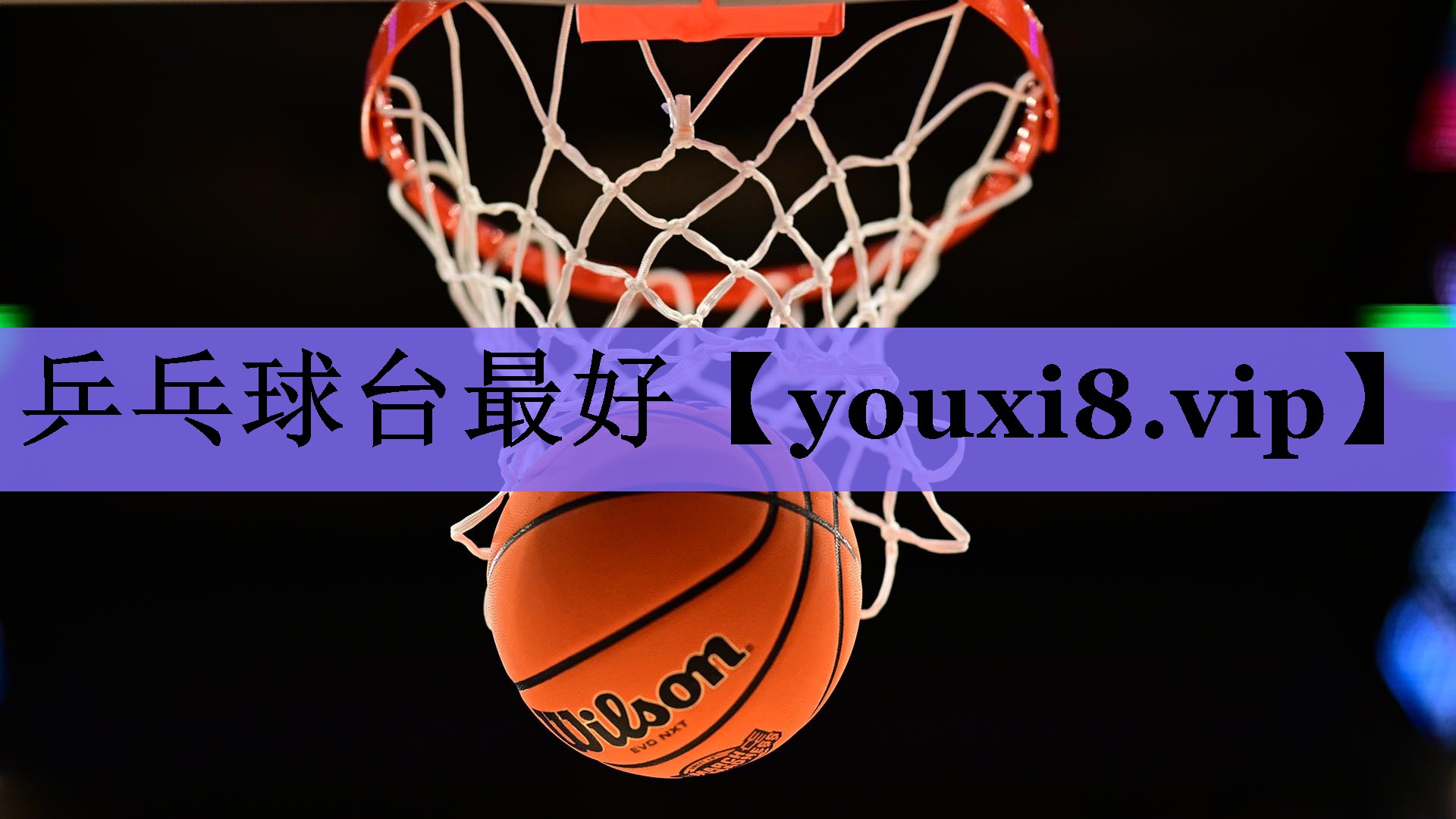 乒乓球台最好