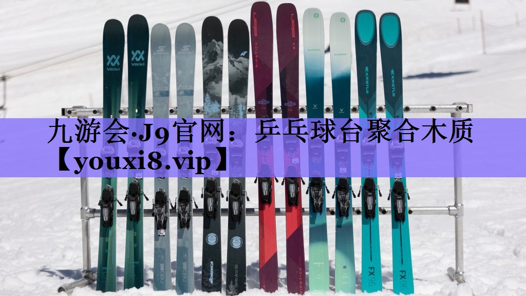 乒乓球台聚合木质