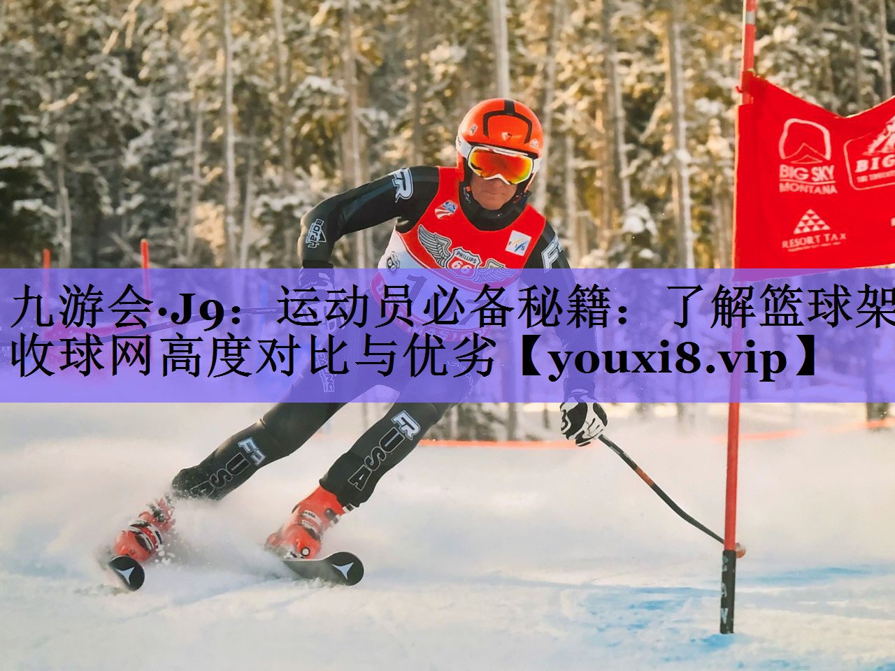 运动员必备秘籍：了解篮球架收球网高度对比与优劣